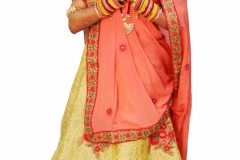 Anshuji-5